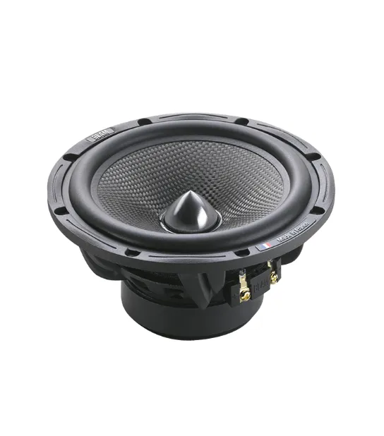 изображение_2025-06-05_205523416