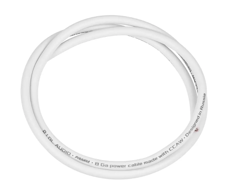 изображение_2024-01-20_114435522