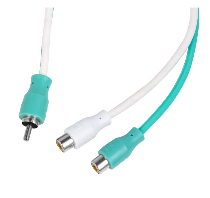 изображение_2024-01-20_212849624