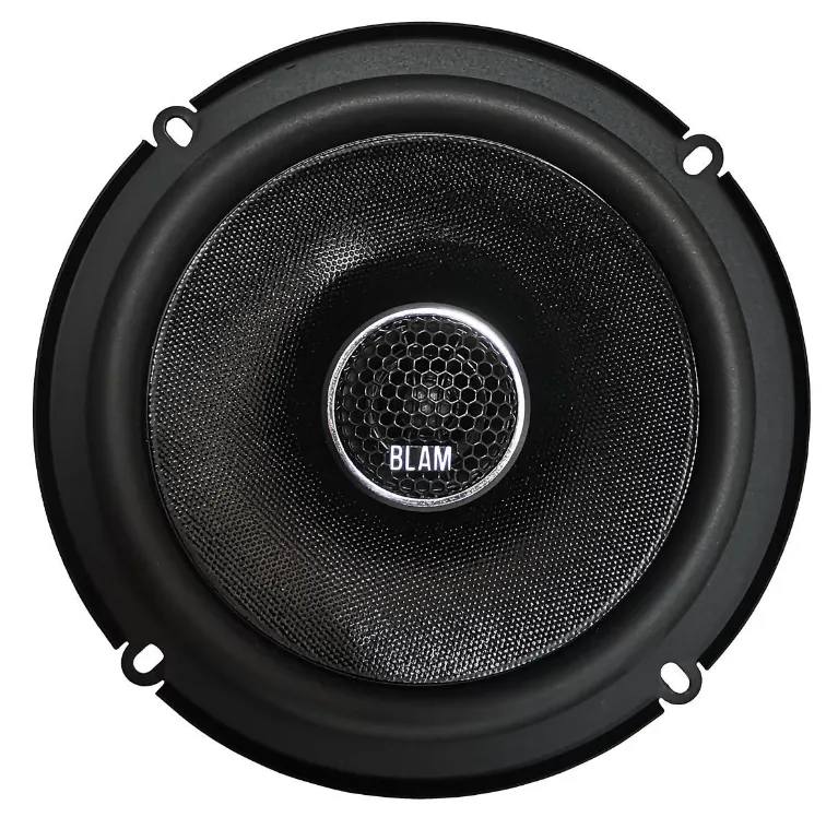 изображение_2024-10-23_231231935