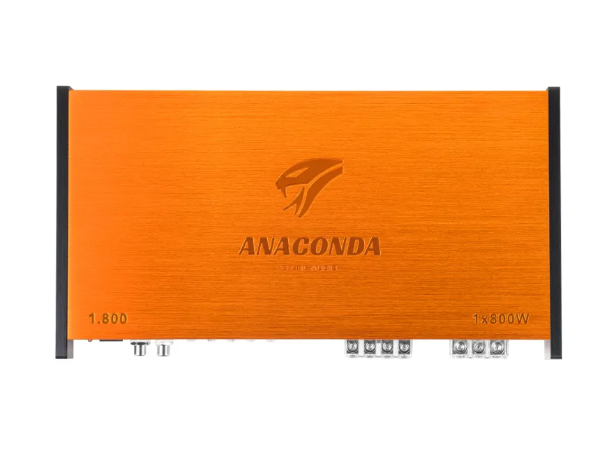 изображение_2024-12-11_004746169