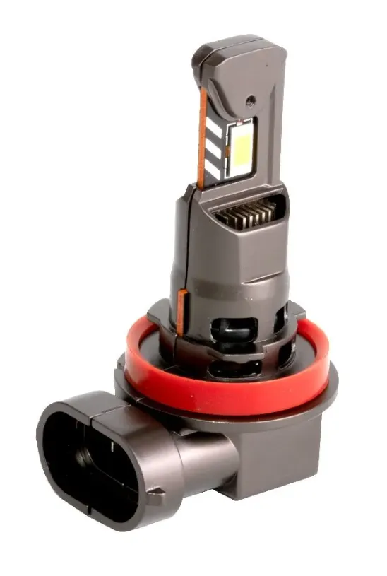 изображение_2025-02-28_015921085