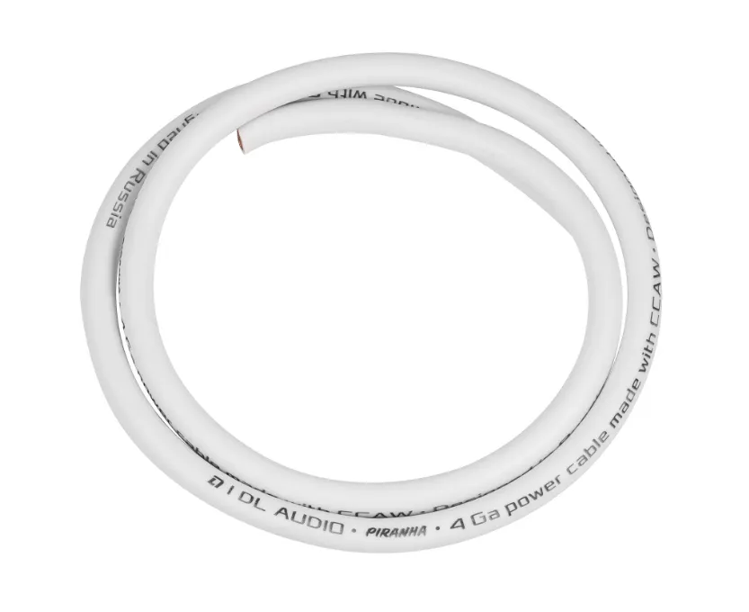 изображение_2024-01-20_114844367