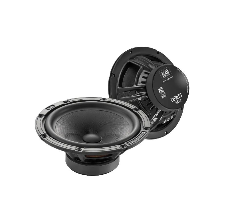 Мидбас BLAM W165ES - фото