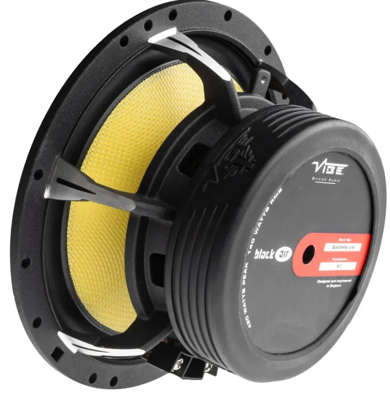 изображение_2025-02-13_001825848