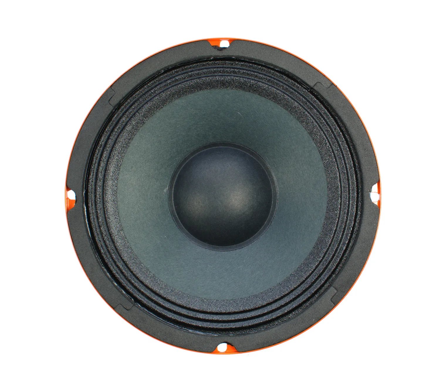 СЧ динамик ARIA BZX-65 - фото