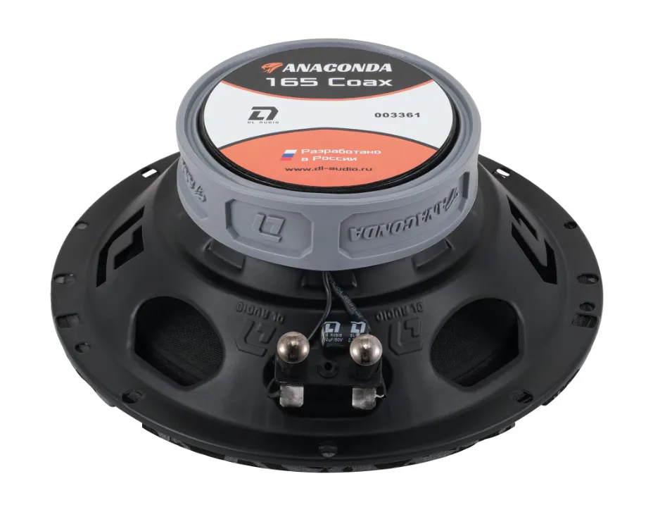 изображение_2023-12-24_094125421