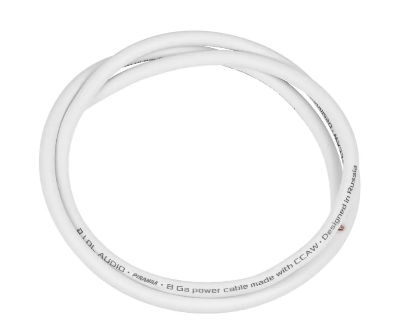 изображение_2024-01-20_114647282