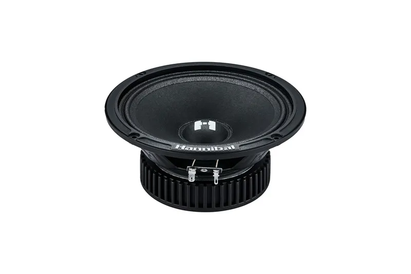 СЧ динамики Deaf Bonce Hannibal HM-6S - фото
