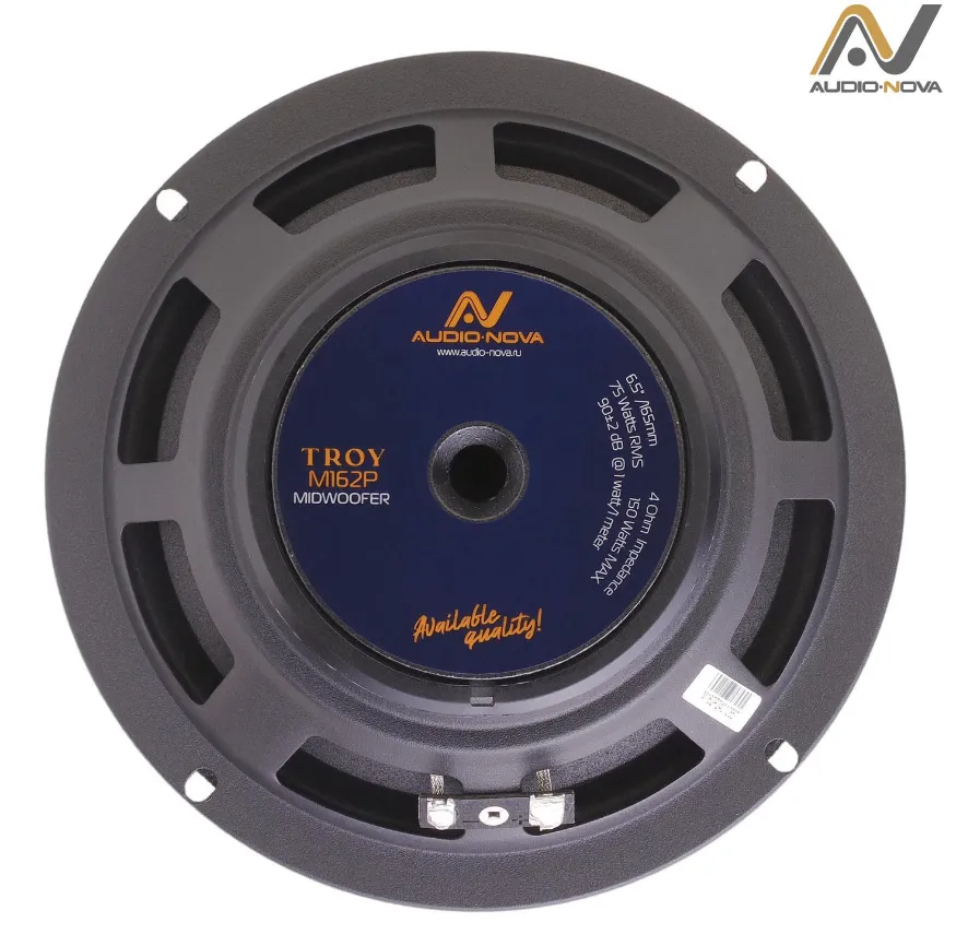 изображение_2024-05-05_034245815