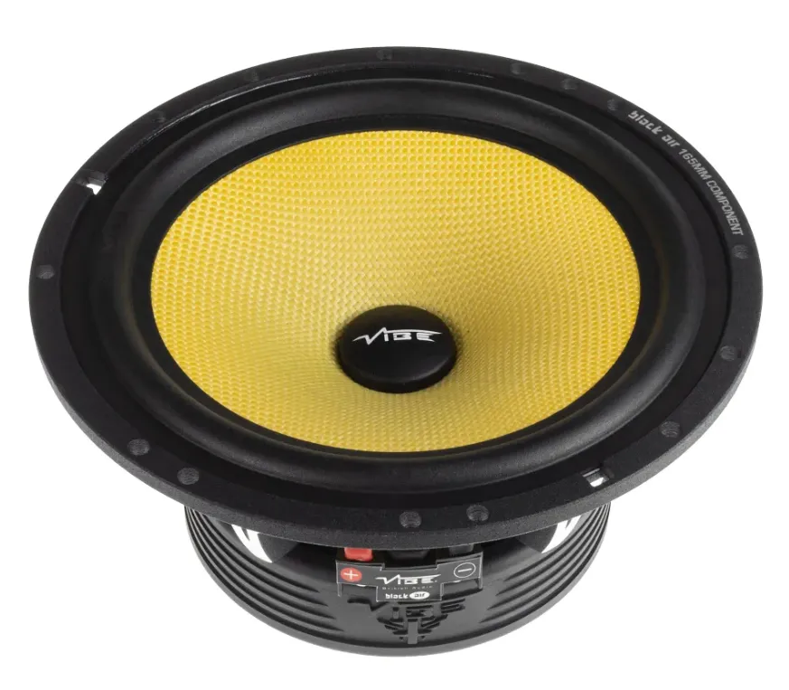 изображение_2025-02-13_001836644