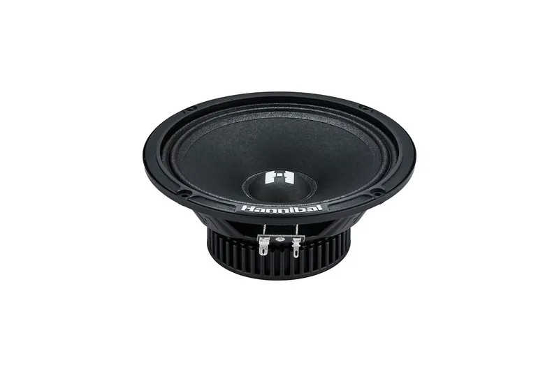 СЧ динамики Deaf Bonce Hannibal HM-6E - фото