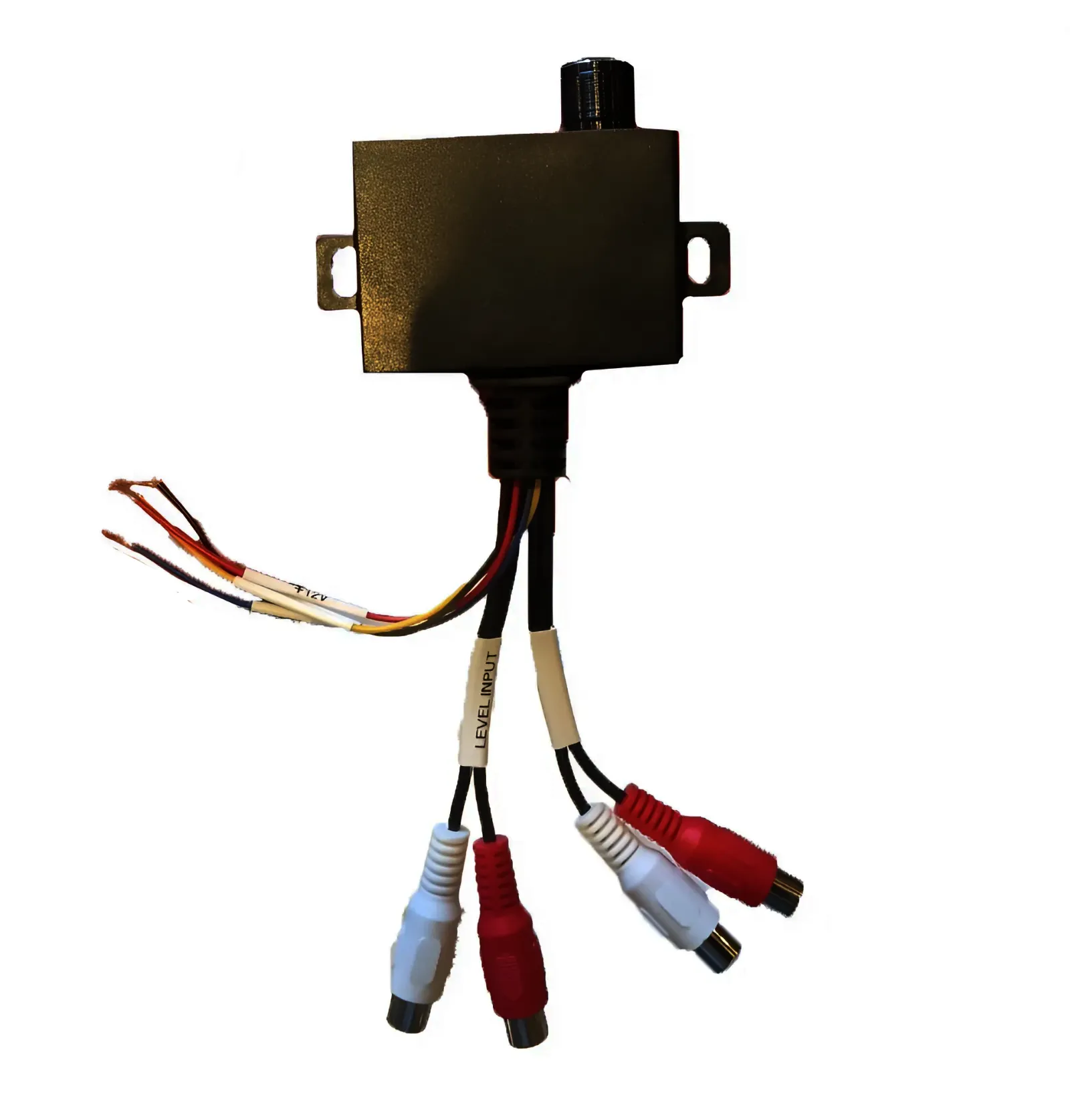 snapedit_1745819350519