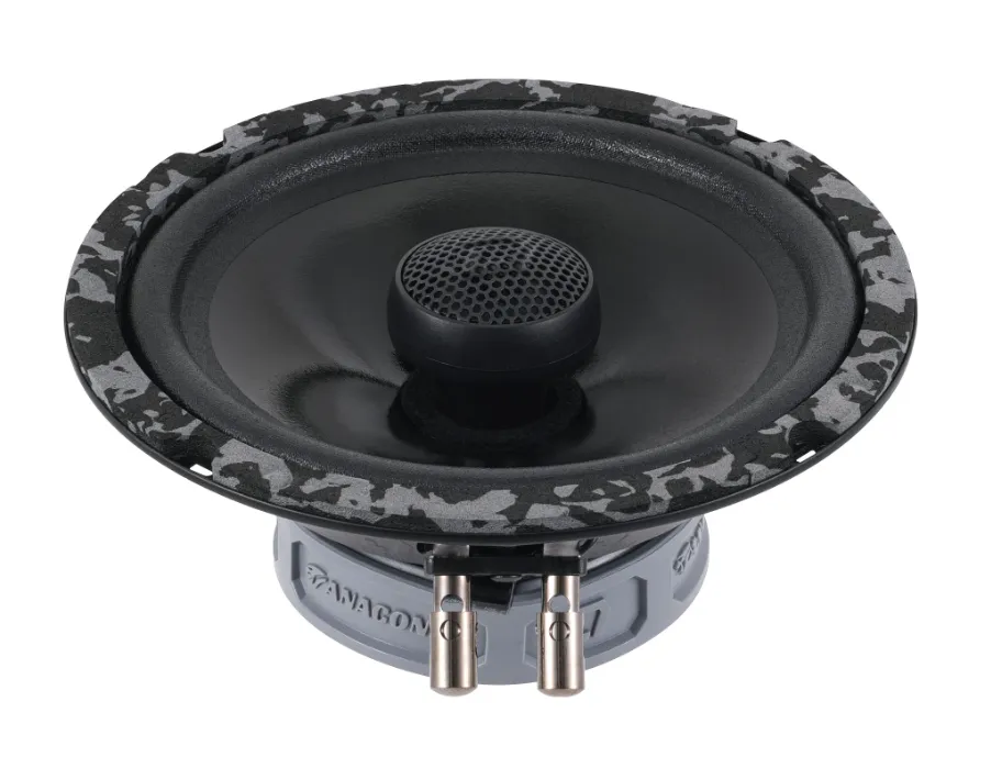 изображение_2023-12-24_094145818