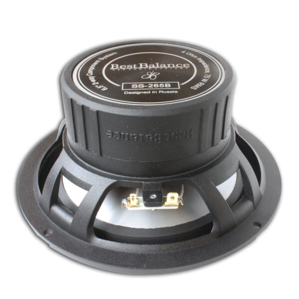 265B-05-600x600[1]