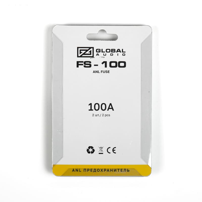 fs 100 2
