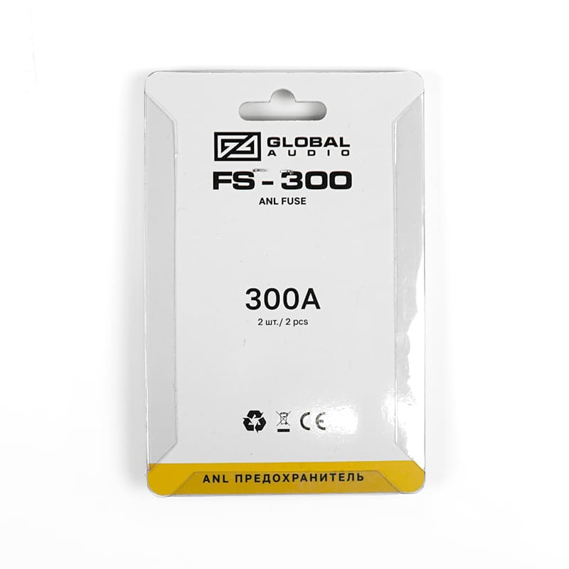 fs 300 2