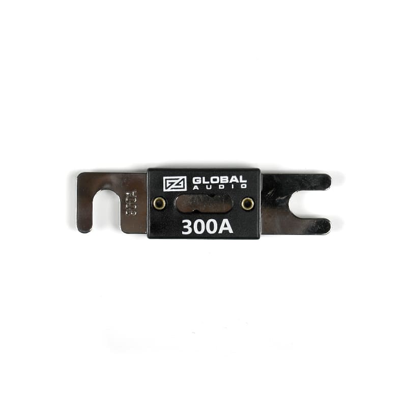 fs 300 3