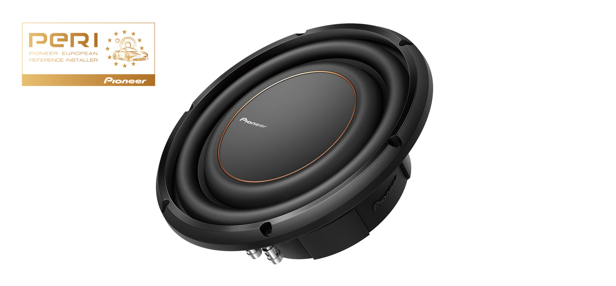 Сабвуфер Pioneer TS-D10LS2 - фото